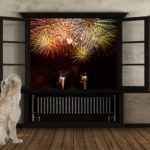 Tips for pet safety on July 4th