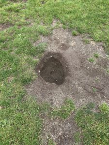 deep dirt hole in green grassy field