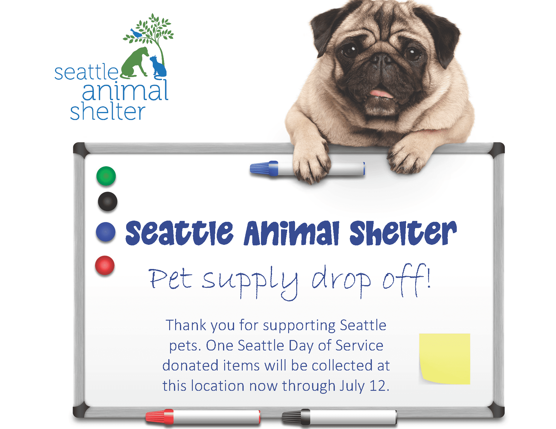 Dog over a sign for pet supply donations for Settle Animal Shelter