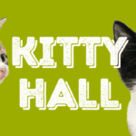 Two kittens standing near the text 